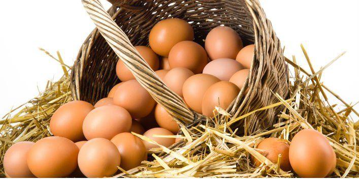 Yumurta Hakkında Mutlaka Öğrenmeniz Gereken 5 Gerçek