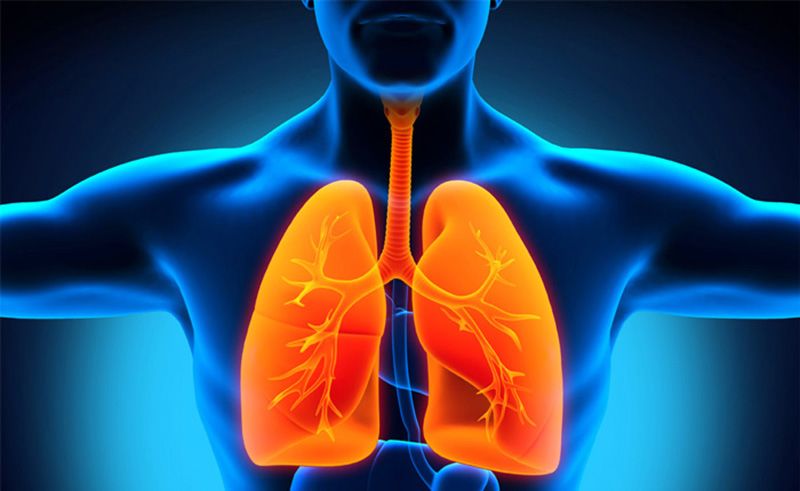 Akciğerleri Temizleme ve Detoks için 5 Yol